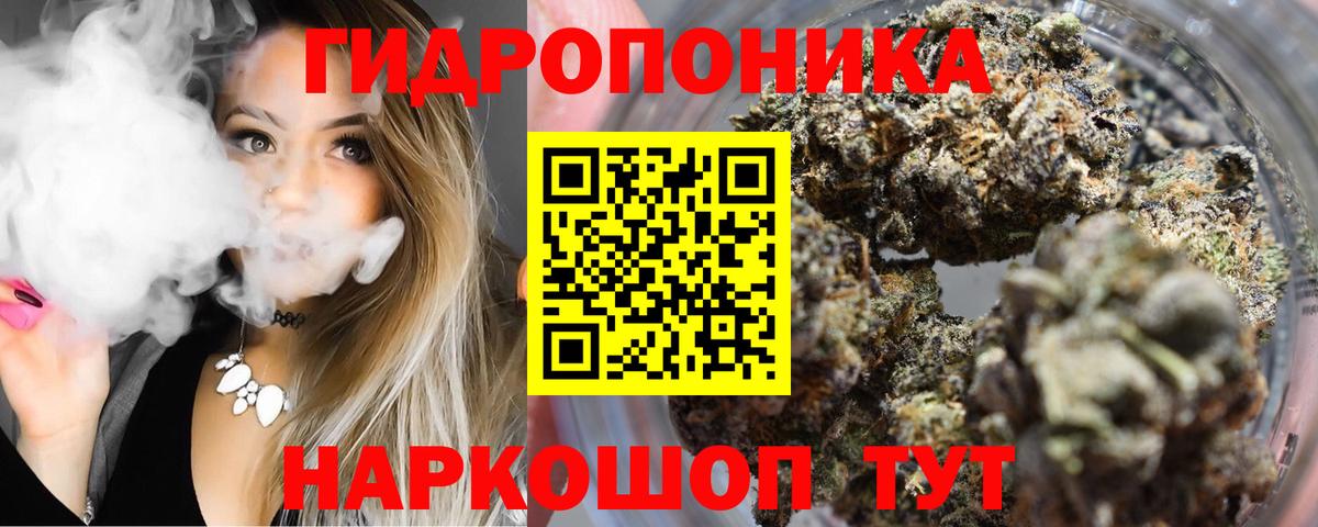 Гатчина  Бошки Шишки семена  Вход с VPN  Марихуана марихуана 